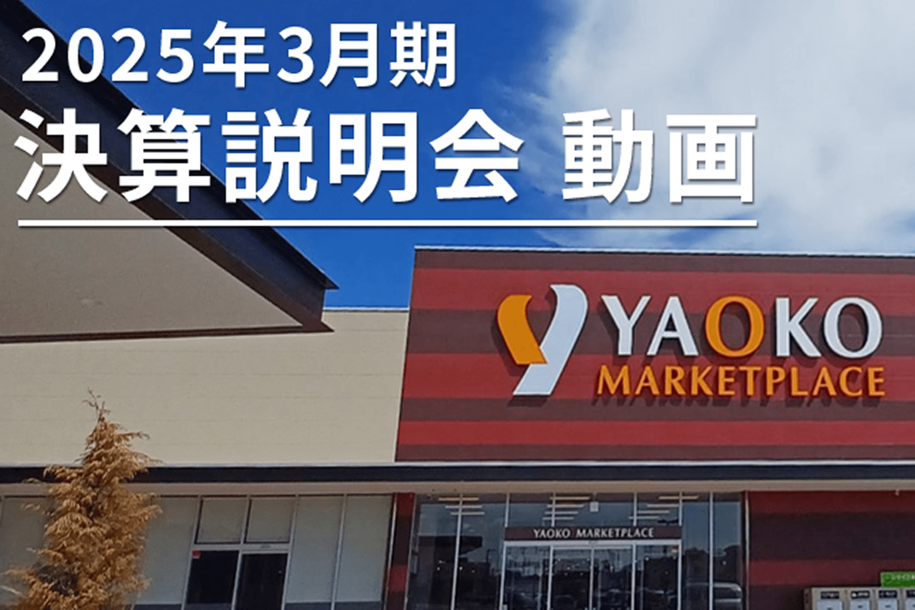 決算説明会を見る